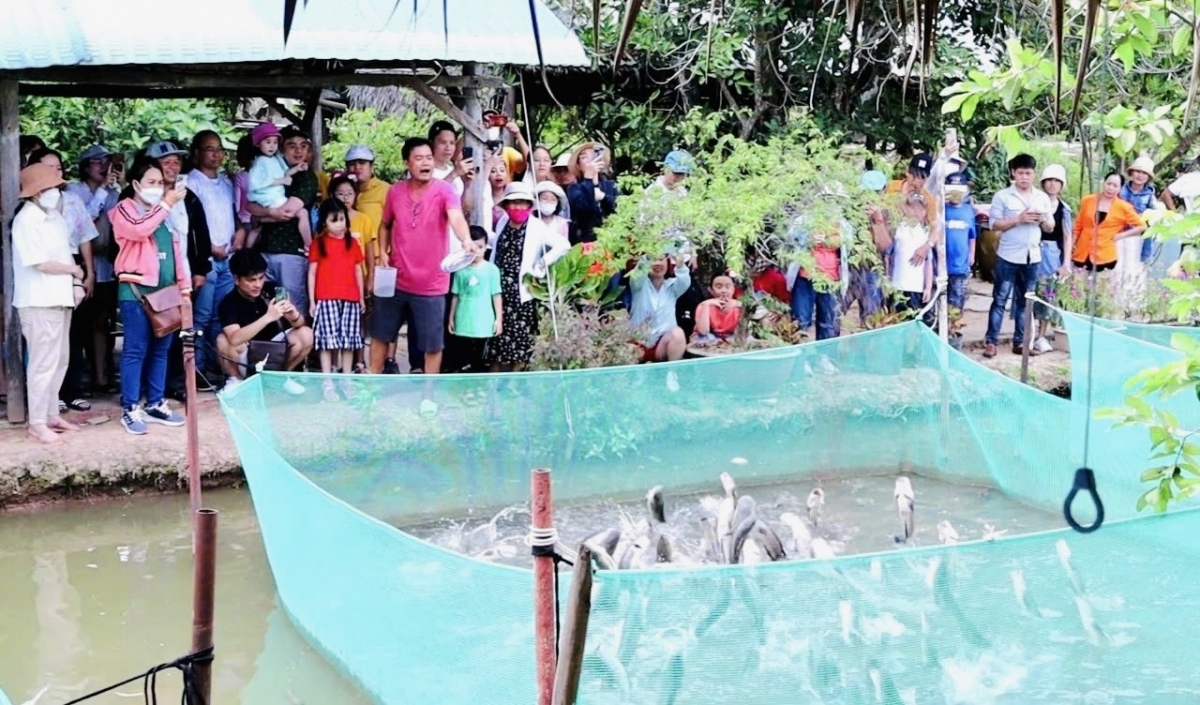 Cần Thơ brei patagok ilamu kraong ia pambuak pagam haong cakrok hijao