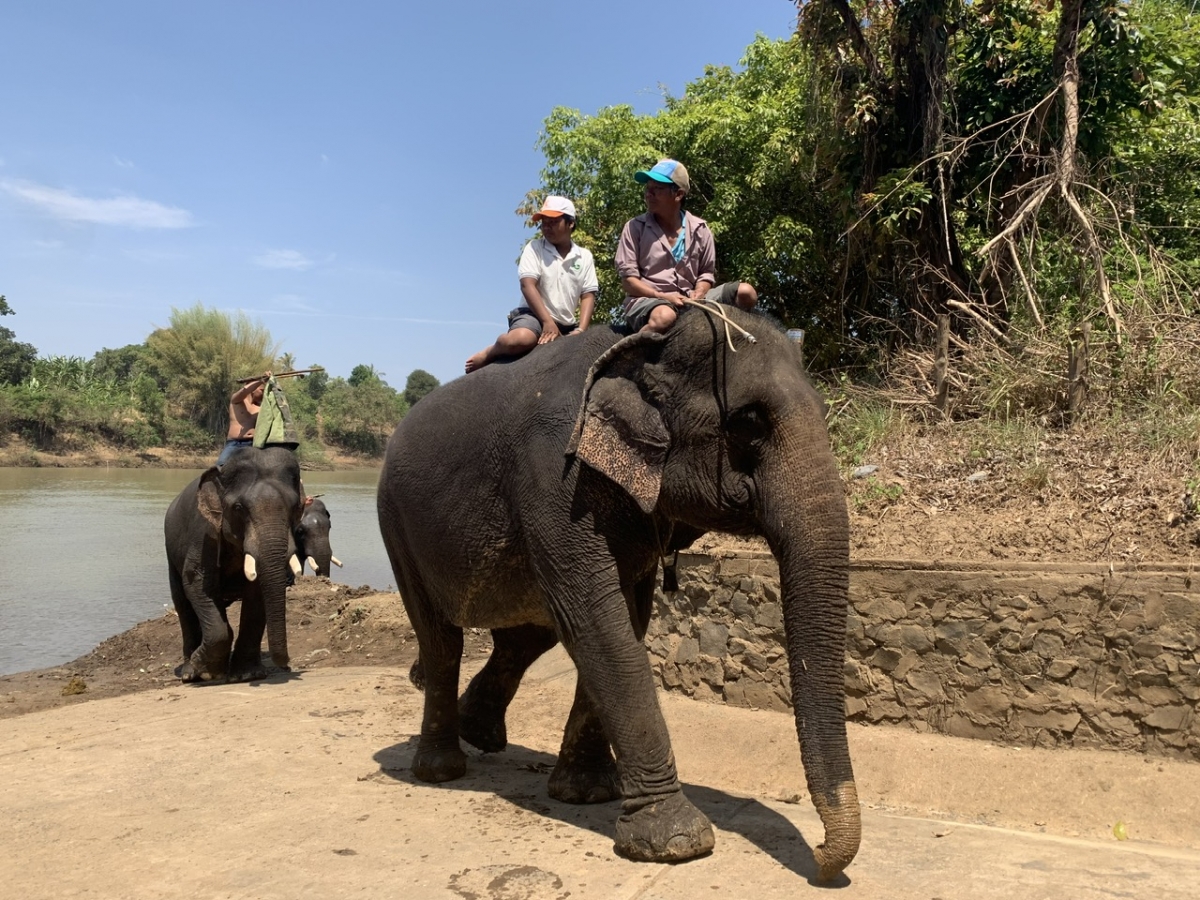 Khu rui a kơno têa Bay Rông, cheăm Krông Na, tơring Ƀuôn Đôn, kong pơlê Dak Lak