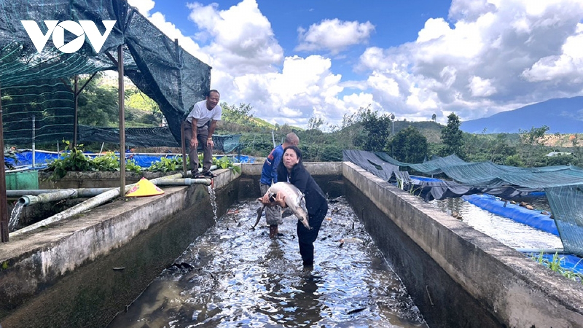 Bruk raong ikan ba mai kein laba glong