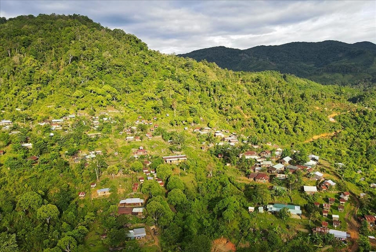 Ảnh minh họa (baodantoc.vn)