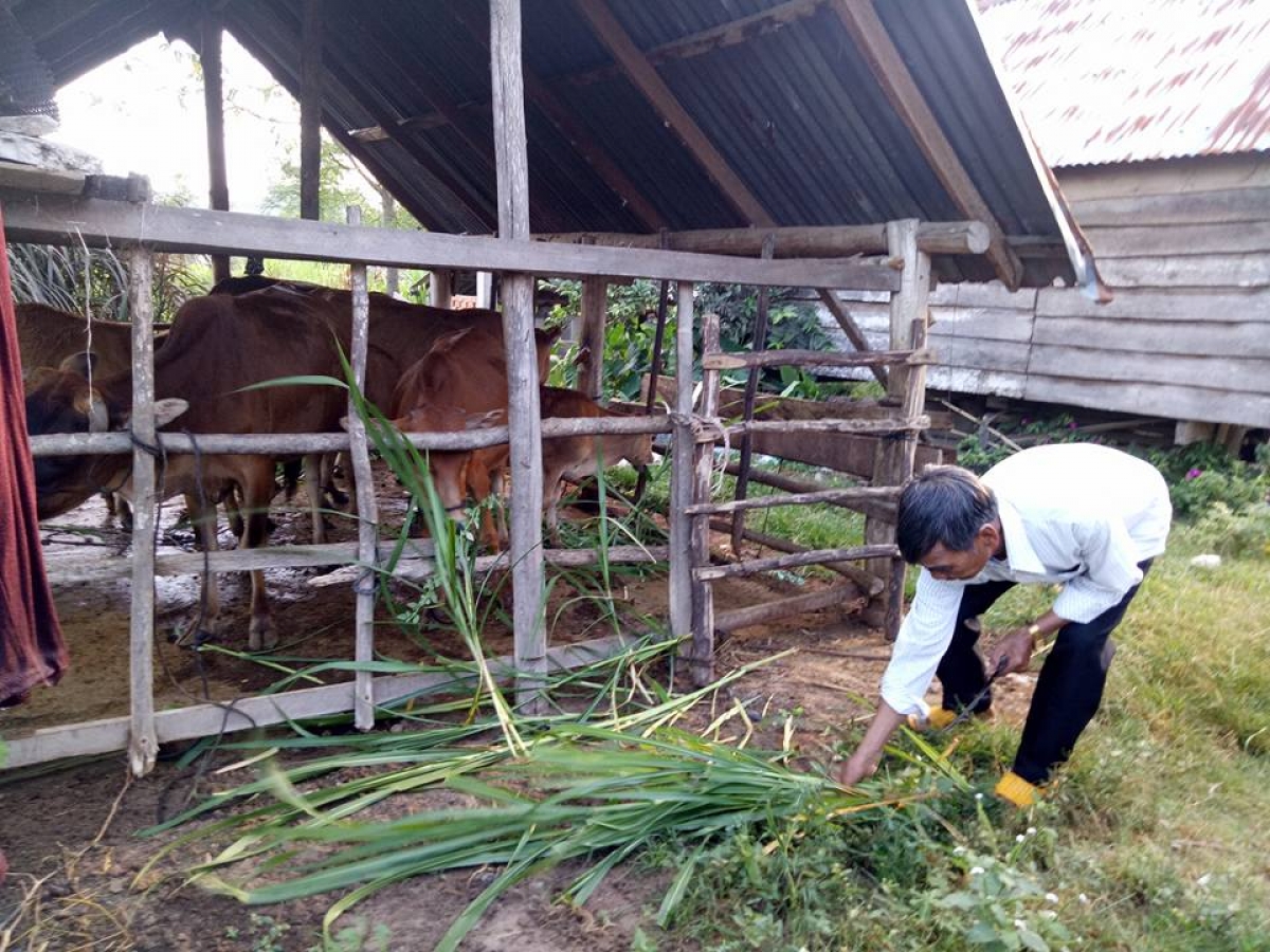 Dưi hmâo tơlơi lăng ba mơng khua git gai gưl Ping gah, mơnuih ƀôn sang ƀơi ƀuôn Mlốc B, să Krông Jing, tơring glông Mdrak pơđĭ kyar bơwih ƀong