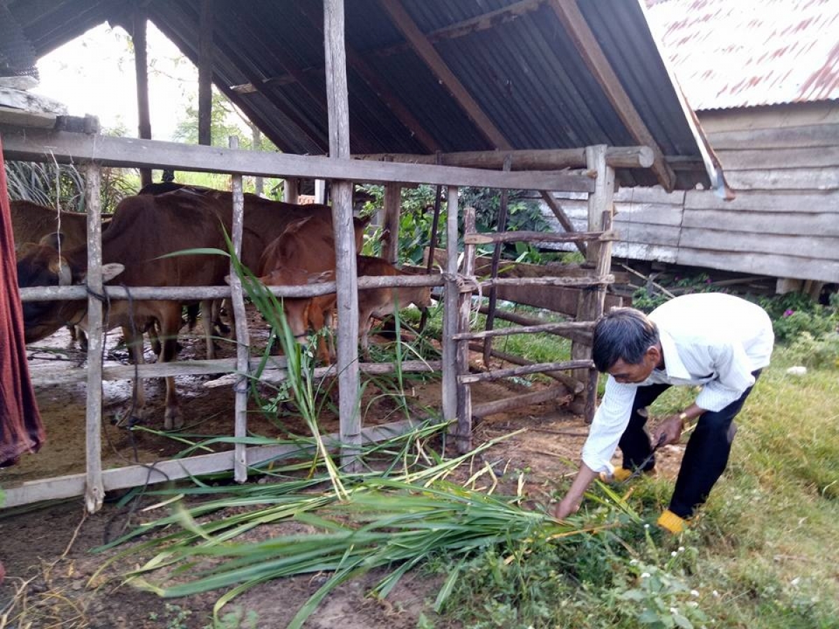 
Đei tơdrong lăng ba đơ̆ng rim hơnih Đảng, kon pơlei oei tơ̆ Ƀuôn Mlôk B, tơring Krông Jing, apŭng M’Drăk atŏk tơ iung mŭk drăm.