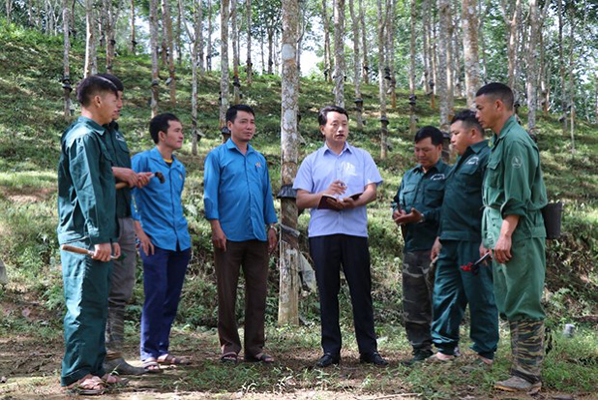 Lãnh đạo Nông trường cao su Điện Biên (Công ty Cổ phần cao su Điện Biên) trao đổi với công nhân về kế hoạch sản xuất trong quý IV/2023. Ảnh: Trung Kiên/TTXVN