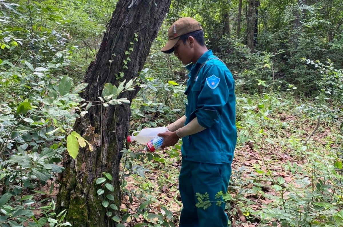 Urang khik iek glai di Bác Ái, tỉnh Ninh Thuận daok njuk ia tame daong ka phun njauk tuh jru mek