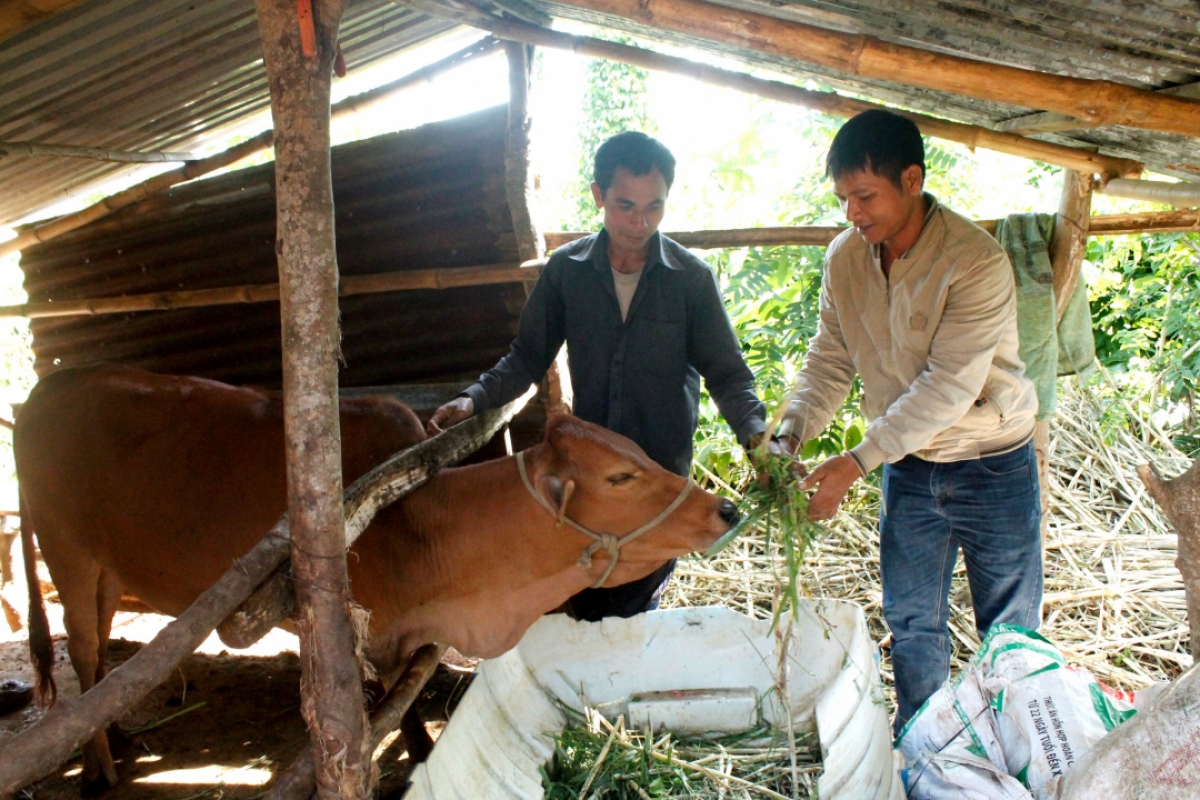 
‘Nhŏng  Y mơi ktla (ao jơk) vei lăng ‘long pơtăm, kon tơrong vă hơtŏk ‘lơ̆ng iŏk yua