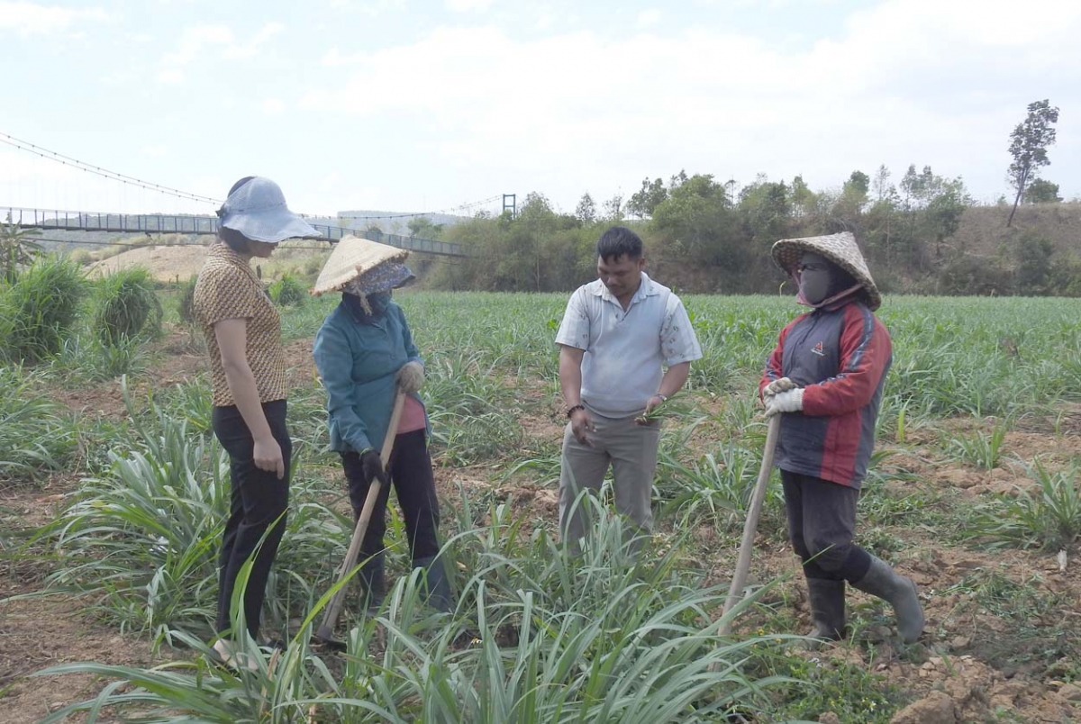 
Kwang bàng, đảng viên xã Đăk Trăm, kơnhoàl Đăk Tô pơlam
làng bol jơi bơtiàn dùl êt nă cau sền gàr tàu