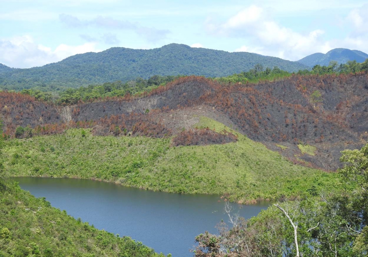 Kong pêt a tơring Kon Plông tro chếo. Um xup khế 4/2020