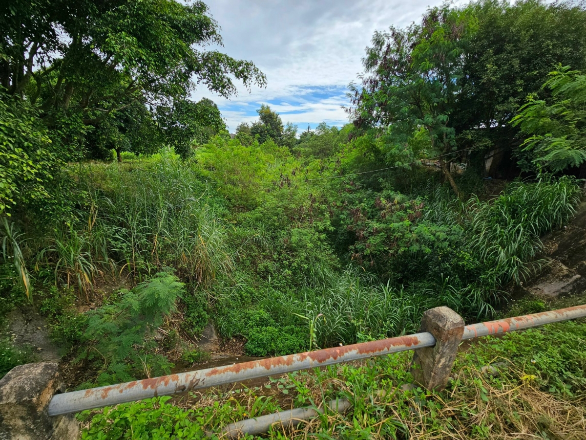 Troăng hno têa Đ3 hiăng tro mâu xok, tơnêi, trâp tâp kơđu, nhâ huăn tâi tâng