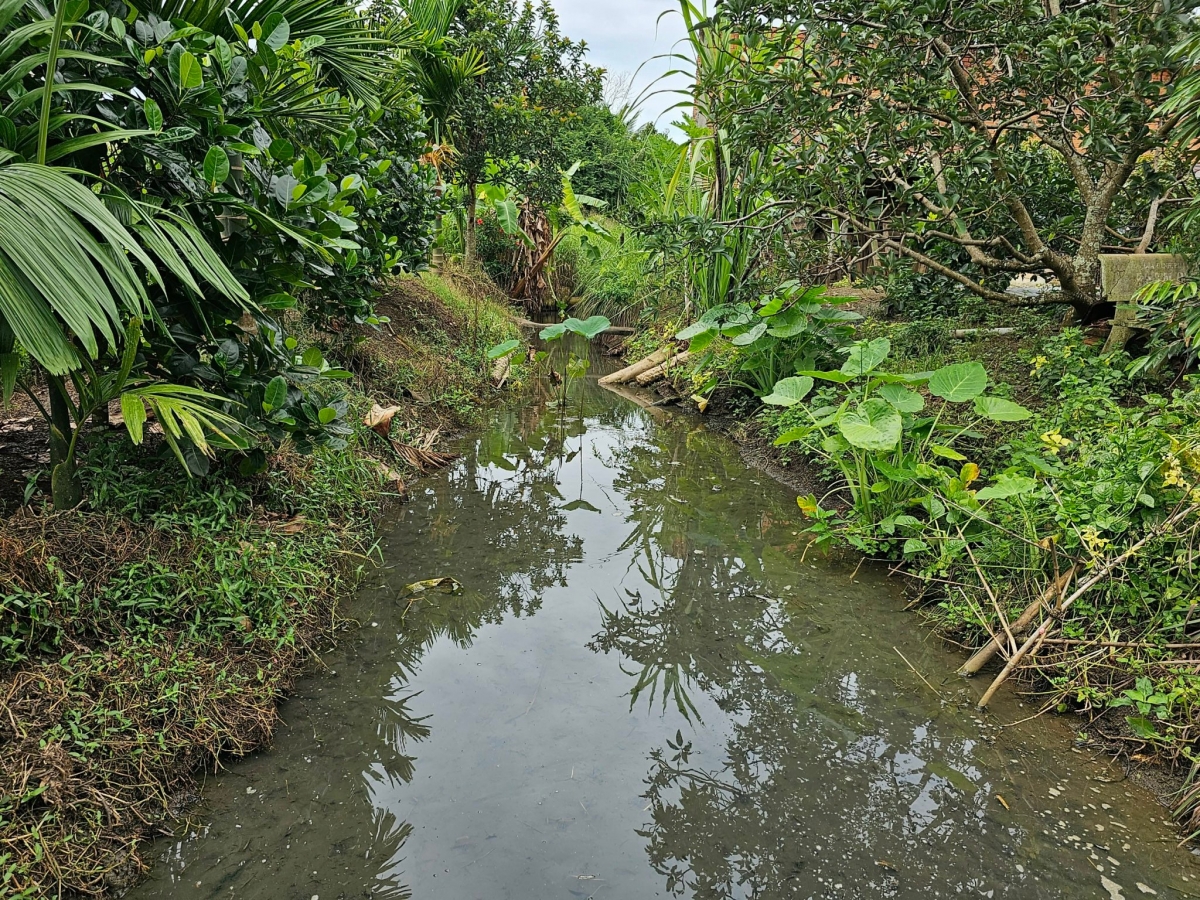 Hno têa châ bro môi tiah kơhôp la nôkố hiăng to trâp tơnêi xok tâp kơđu