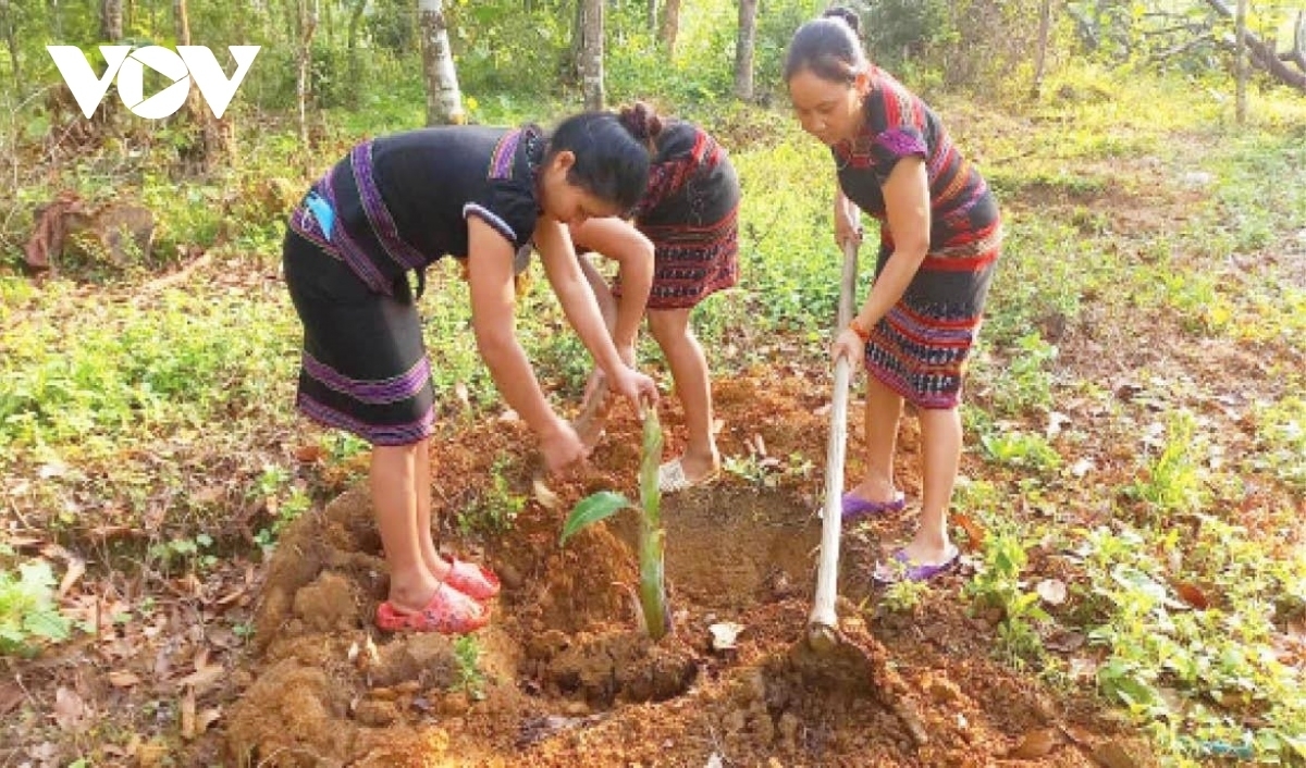 Ảnh: www.thuathienhue.gov.vn