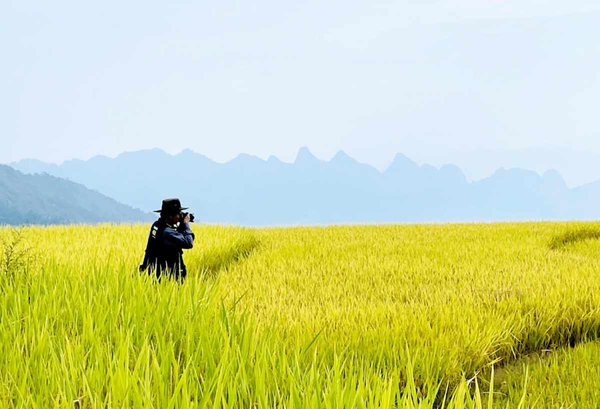 (Ảnh: Báo Hà Giang)