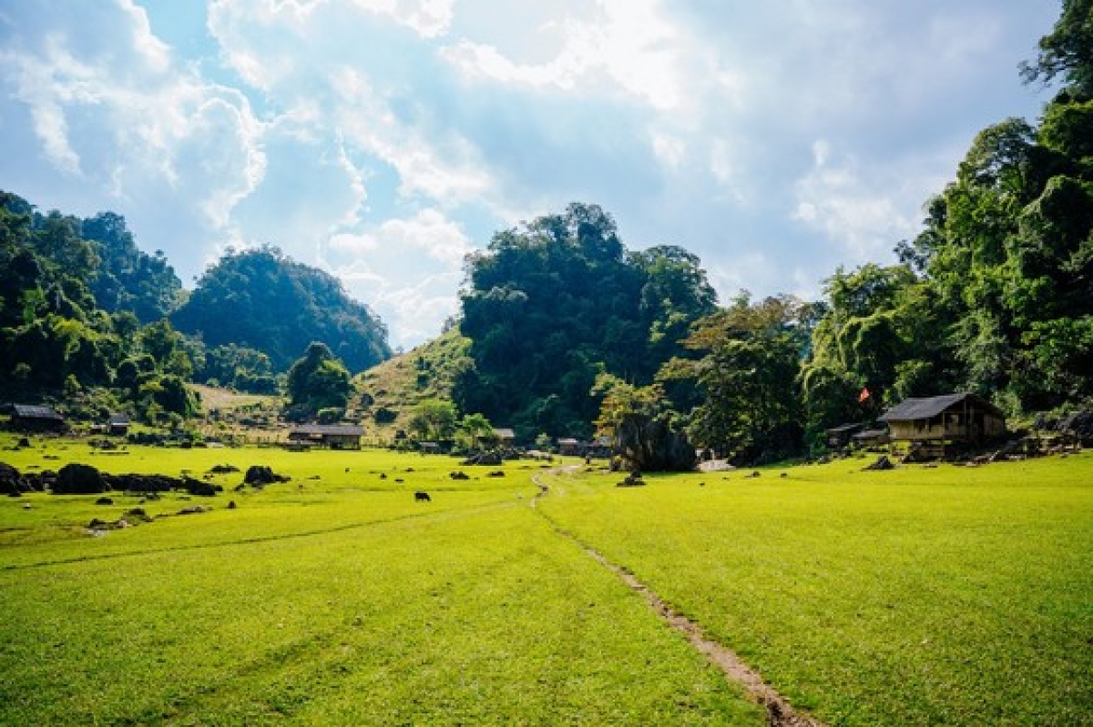 Hang Táu rộng lớn với thảm cỏ xanh mướt như thảo nguyên