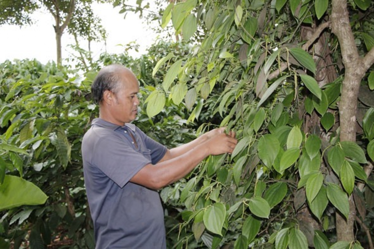 Y Tuyên ntrong leo tâm pah kan jan sa
 