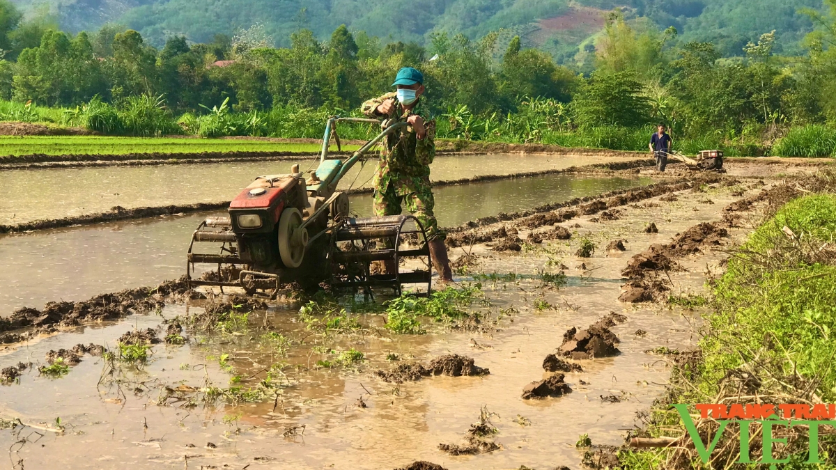 Làng bol jơi bơtiàn dùl êt nă cau neh git ngui bơta jak chài măi mok tàm lơh sa, tam phan (rùp ai bơh tàm internet)