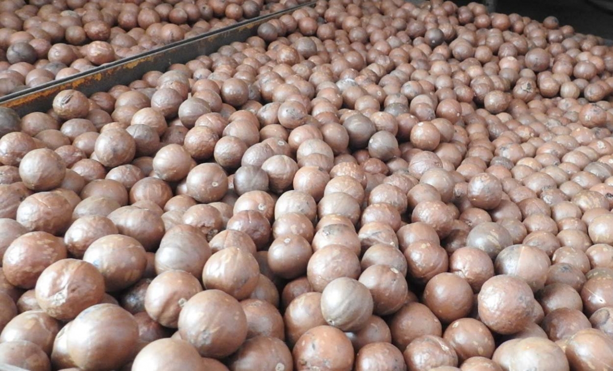 Kloăng mắc ca kơnôm ing kơxô  liăn mung dêi Agribank