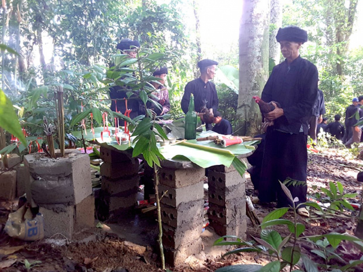 Lễ cúng thần rừng của người Tày - Nùng ở Hoàng Su Phì. Ảnh: Khai thác báo Hà Giang