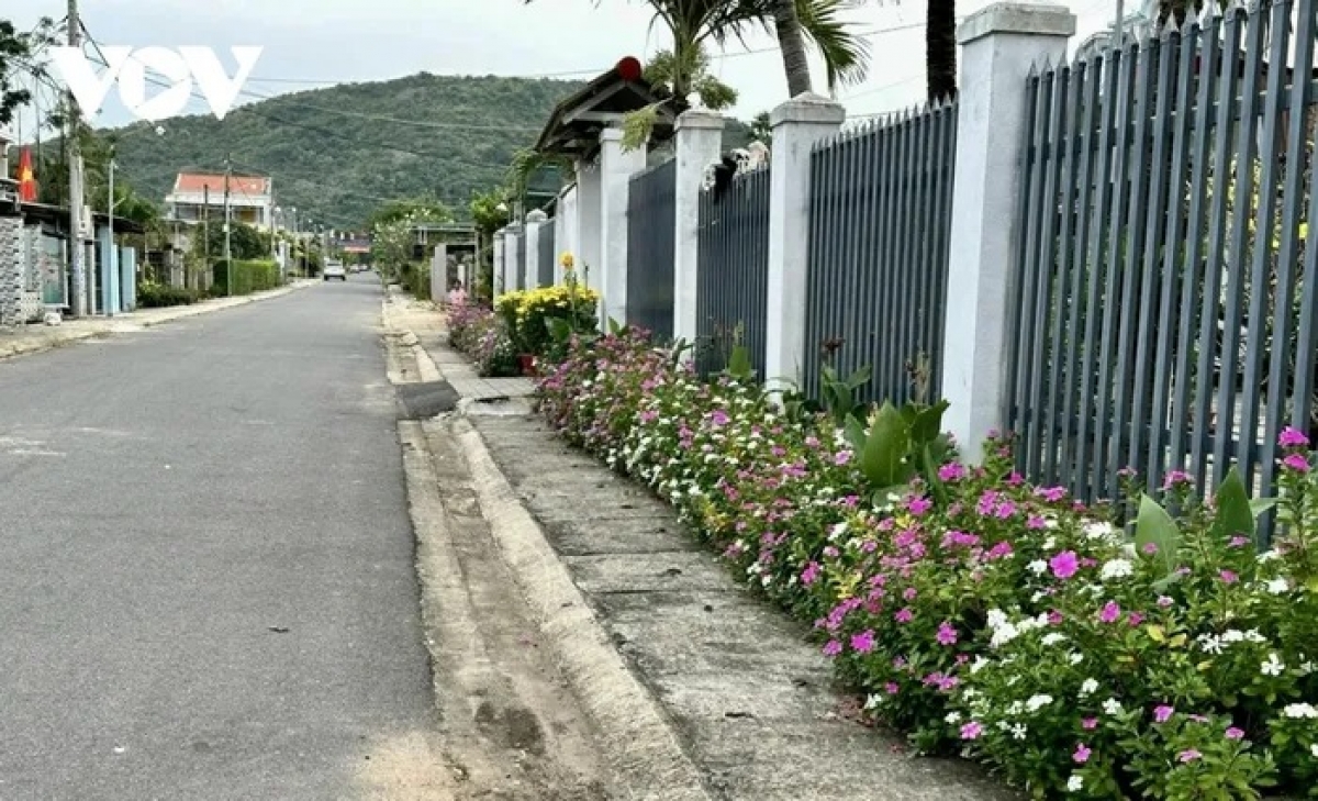 Dom jalan pambuak dom xã dalam huyen Long Điền  hu tuh betong