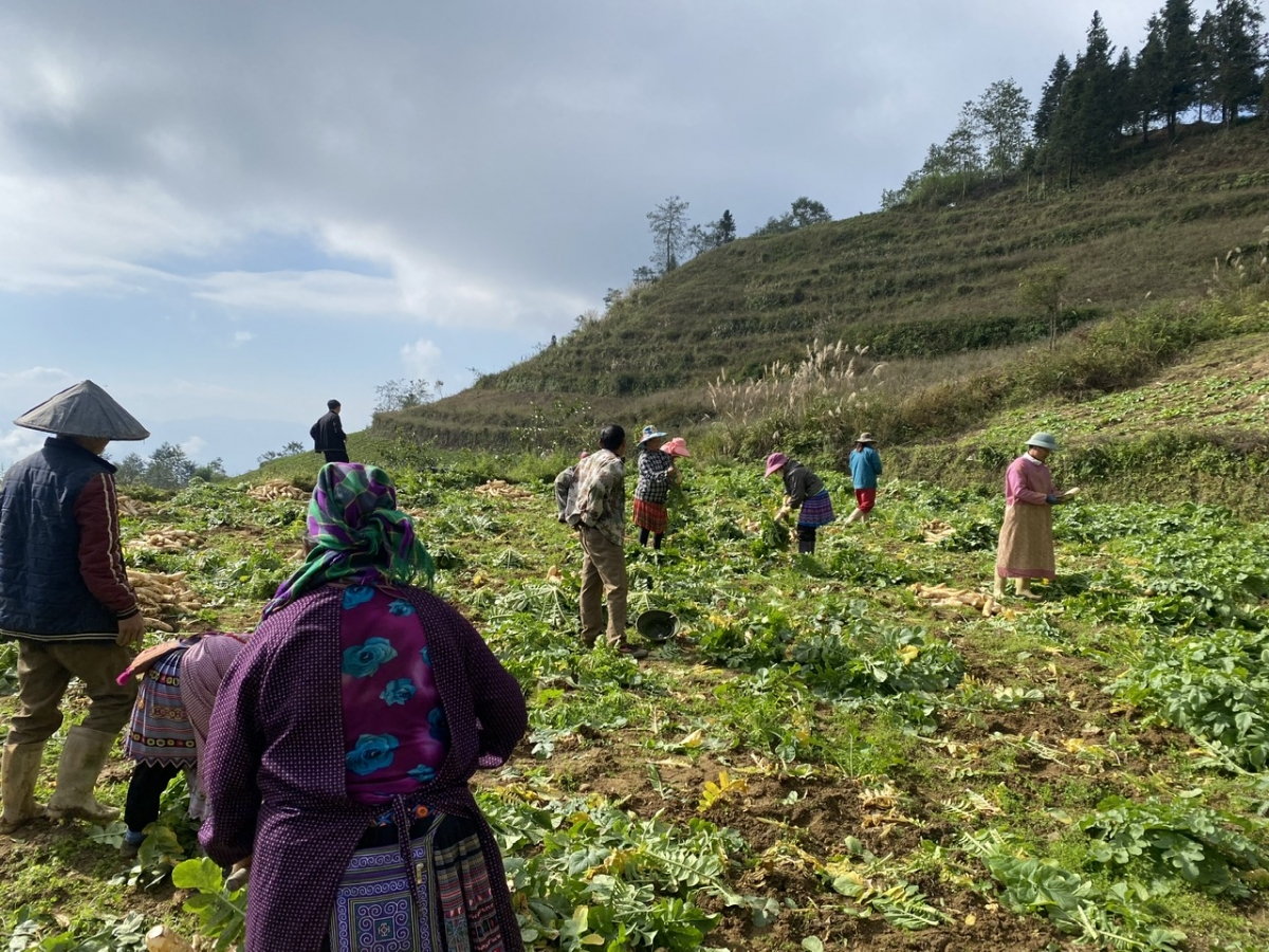 Cau lơh broă sa  kơnhoàl Xín Mần tơnhào phan tam