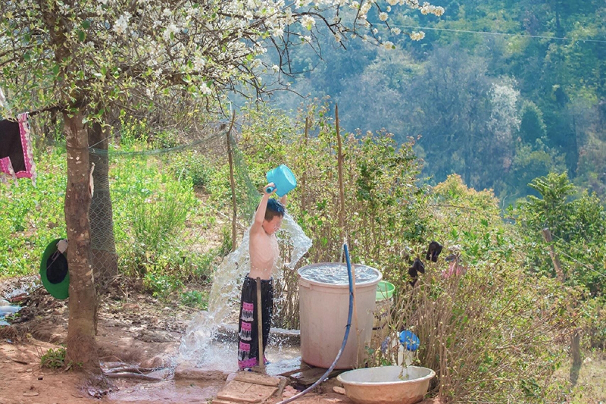 Không chỉ mang vẻ đẹp như những bông tuyết nở, hoa sơn tra đã nuôi sống biết bao thế hệ, bao gia đình trên bản làng Nậm Nghiệp, là tuổi thơ xinh đẹp của những đứa trẻ người Mông...