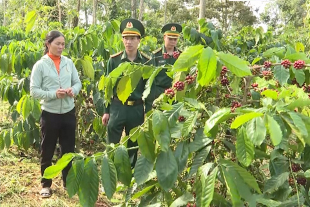 
Mpồl ling sền gàr tiah nhàr lơgar càr Dăk Nông sùm tam klăc bal đềt mềr ngan mờ làng bol