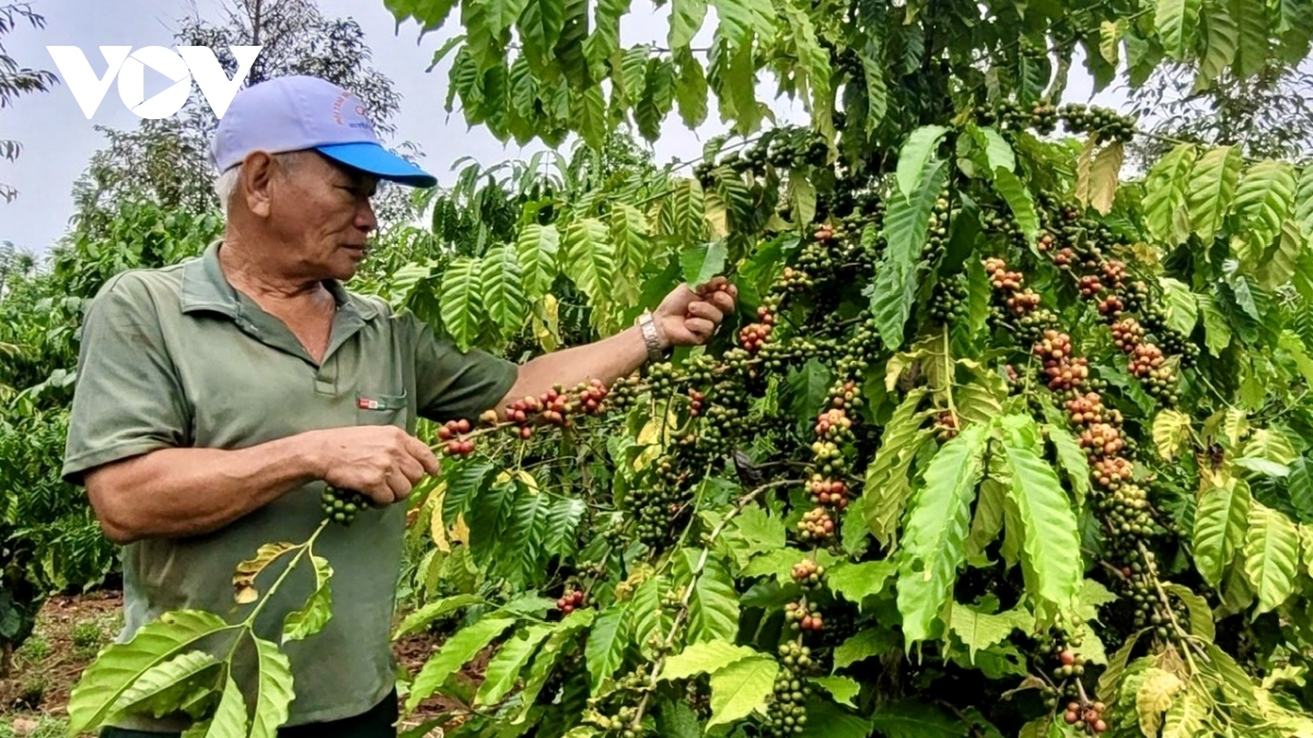 Ong Võ Ngọc Thanh, daok di  tỉnh Bà Rịa - Vũng Tàu