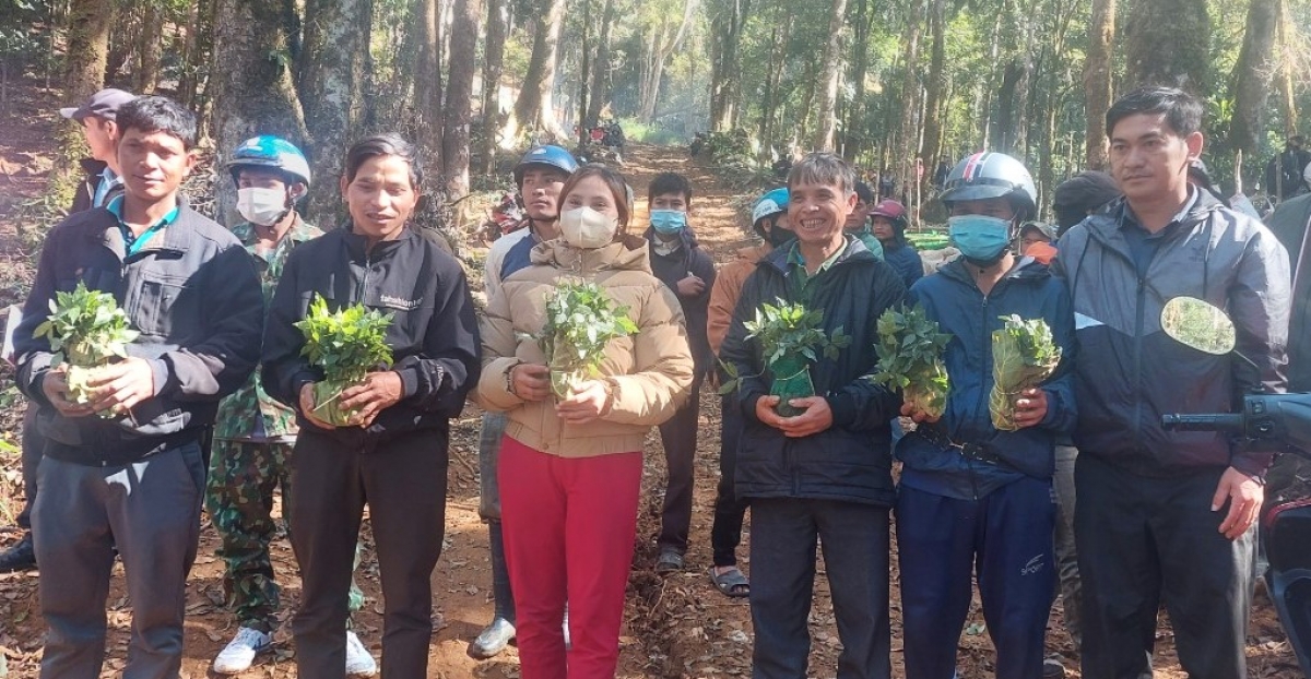 Huyện Tu Mơ Rông trao sâm giống Ngọc Linh do Thủ tướng Chính phủ Phạm Minh Chính tặng.