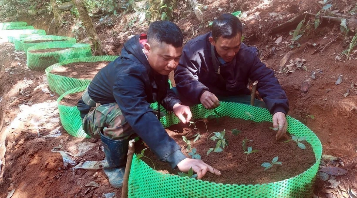 Đhanuôr đha rứt đhị chr'hoong Tu Mơ Rông chóh sâm Ngọc Linh âng Thủ tướng Chính phủ Phạm Minh Chính đoọng.