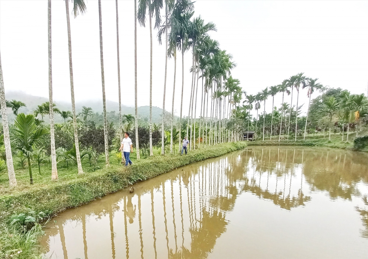 Bhươn, a'bóc âng đhanuôr cóh chr'val Ba, chr'hoong Đông Giang.