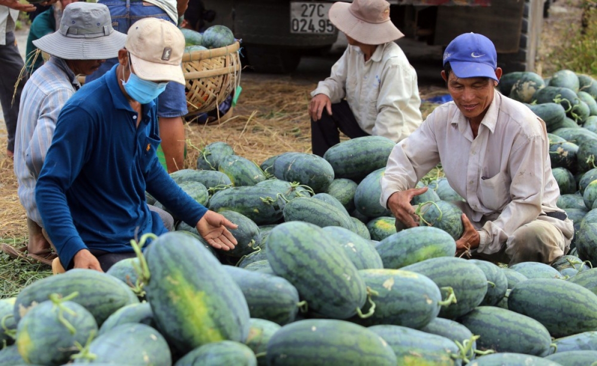 Baoh tamekai that pablei tabiak meng Việt Nam tapa Trung Quốc