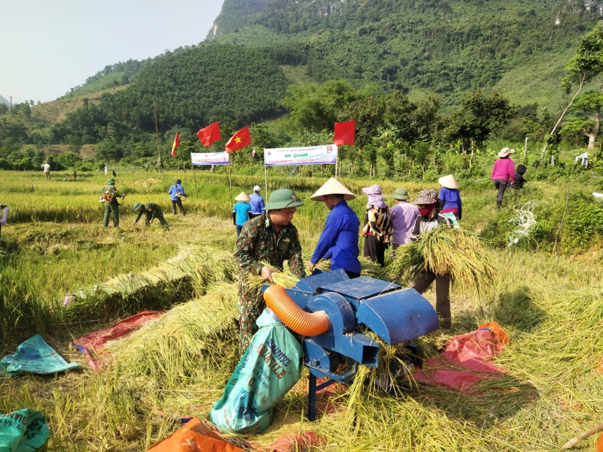 Bộ đội biên phòng giúp đỡ bà con thu hoạch vụ lúa