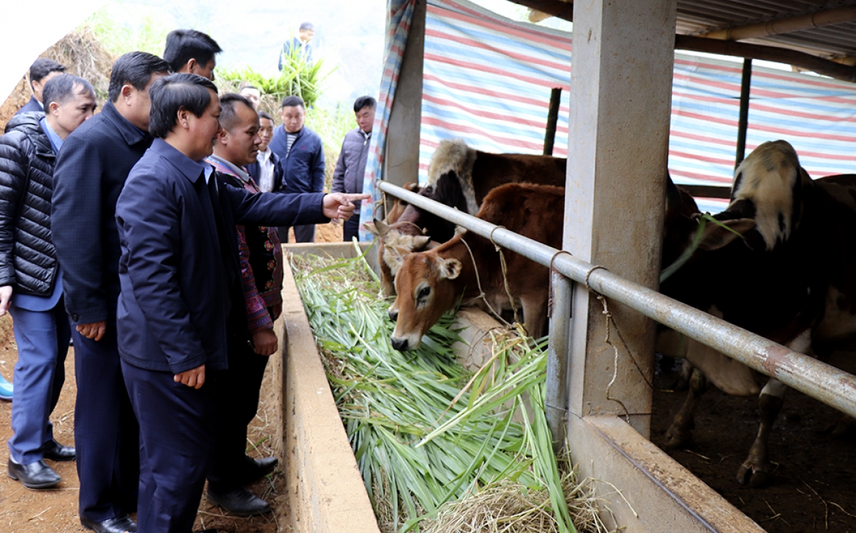 Bộ trưởng, Chủ nhiệm Ủy ban Acoon coh Hầu A Lềnh h'rưah lâng c'bhuh lươt pa bhrợ lươt lum lêy apêê pr'đhang bh'rợ bhrợ cha liêm choom đhị chr'val  Trạm Tấu (Chanup: Pr'đhang bh'rợ băn c'rooc âng pr'loọng đong t'cooh Vàng A Lử - vel Tấu Dưới)