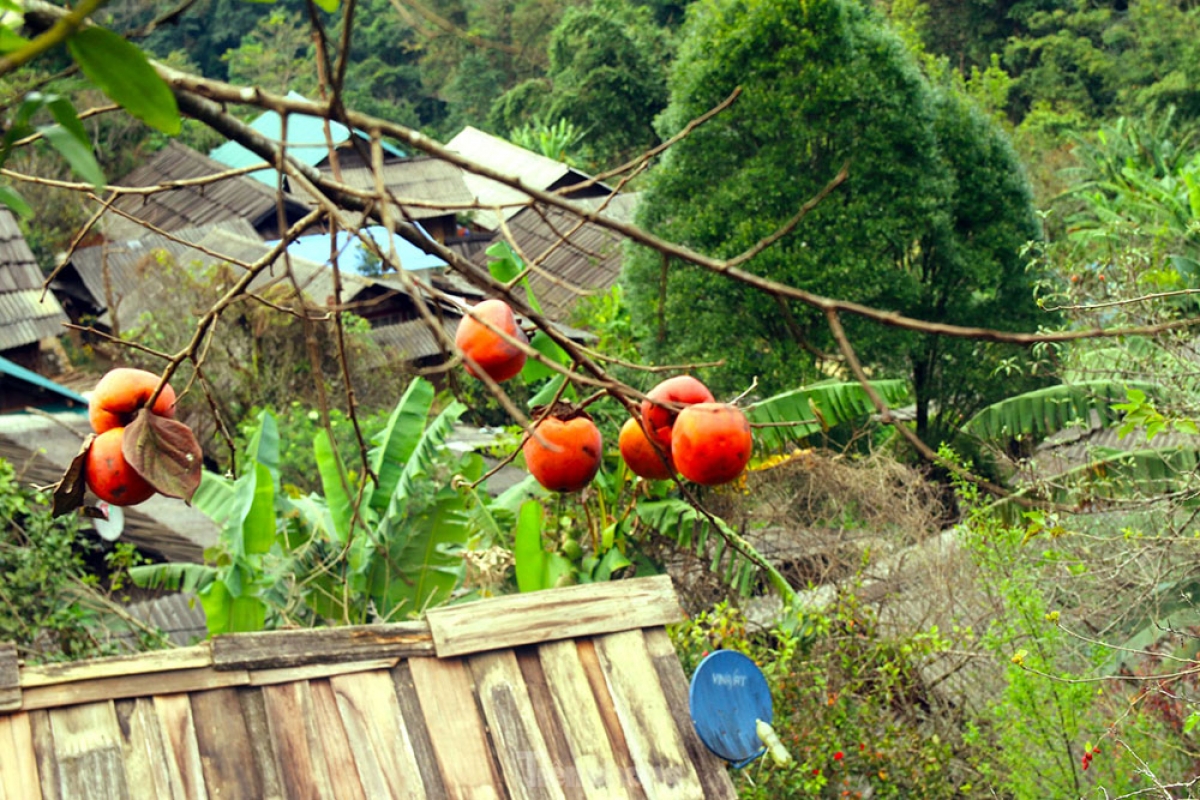 Khung cảnh yên bình ở bản người Mông xứ Nghệ.