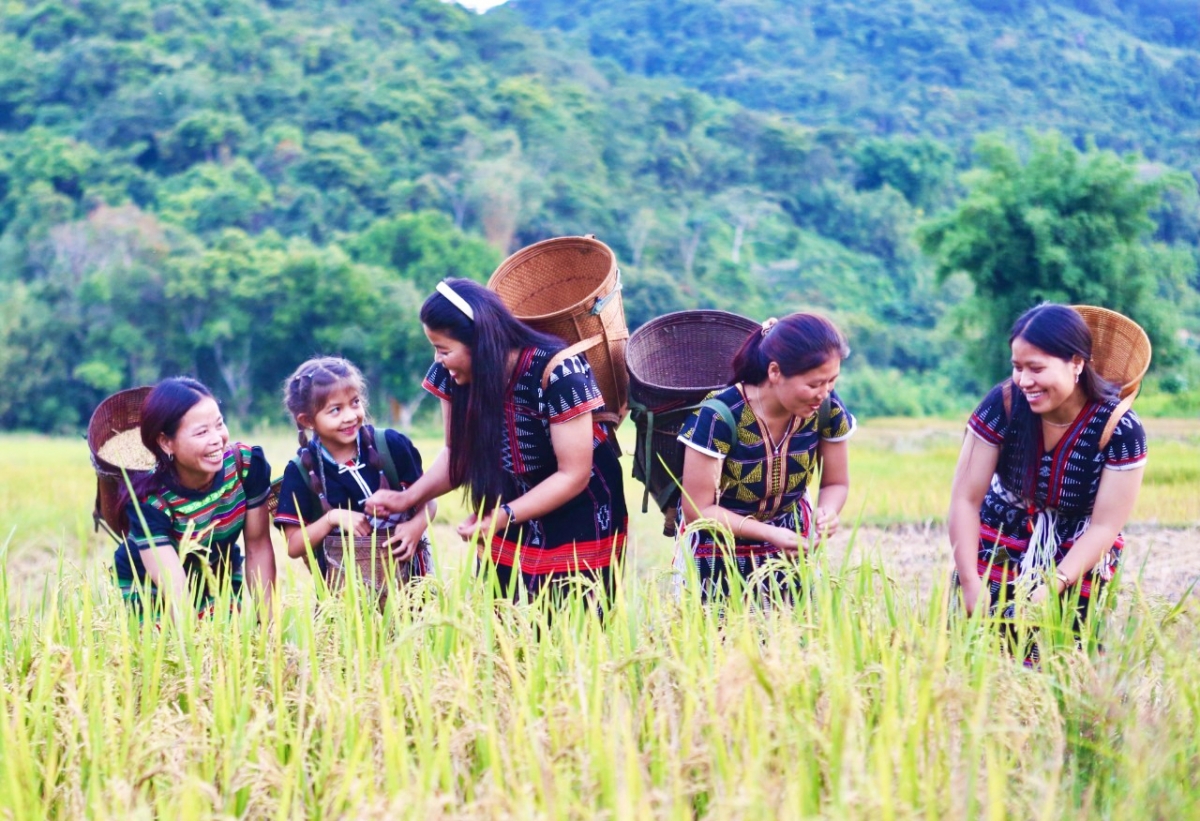 Đồng bào vùng cao Tây Giang trồng lúa nước