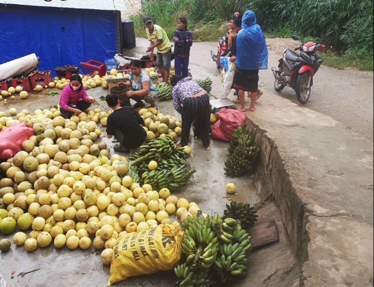 Nông sản của đồng bào vùng cao Tây Giang, Quảng Nam