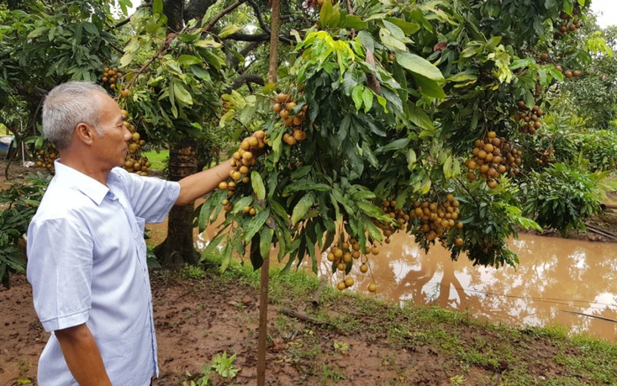 Tỉnh Tiền Giang hu taneh bein phun mbang baoh praong abih dalam taneh ia