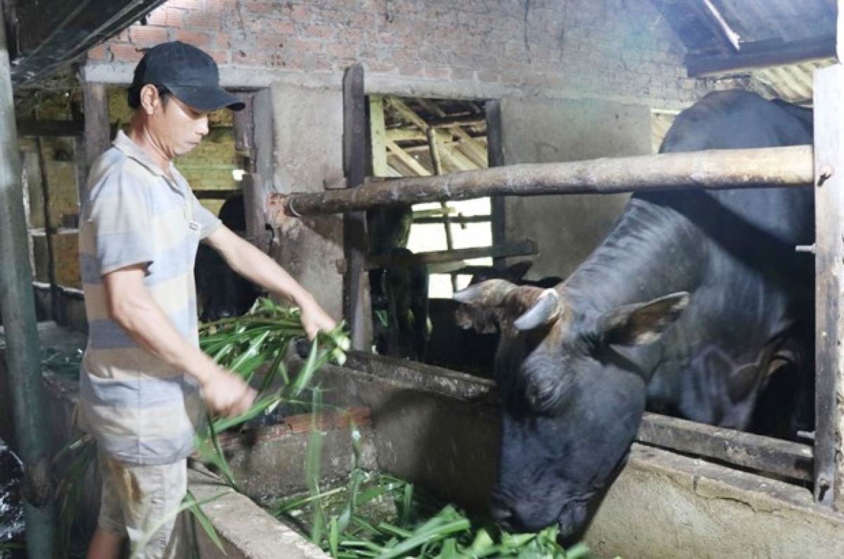 Anoo Vương Tấn Cảnh, cr’noon Gò Gạo, chr’val Sơn Thành, chr’hoong Sơn Hà, năc pr’loọng đong đăn đharựt bơơn vặ zên t’đui đoọng ting cơnh Nghị định số 28/2022/NĐ-CP âng Chính bhrợ bh’rợ b’băn. Cha nụp: Phạm Cường - TTXVN