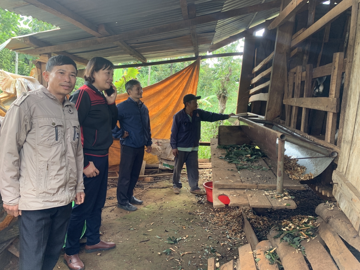 
Trong jang 5 đảng viên tơgŭm 1 unh hnam klaih đơ̆ng hin dơnuh tơ̆ apŭng Đak Song, dêh char Đak Nông