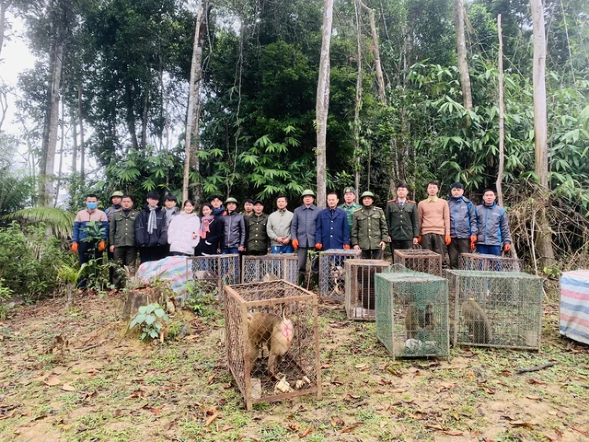 Cơ quan chức năng p'lóh a'đhắh dzăm chô ooy crâng k'coong.