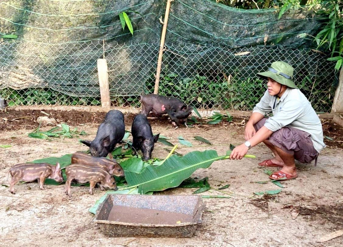 Bh'rợ b'băn zooi đhanuôr dưr zi lấh đha rứt. Cha nụp: Báo Quảng Nam