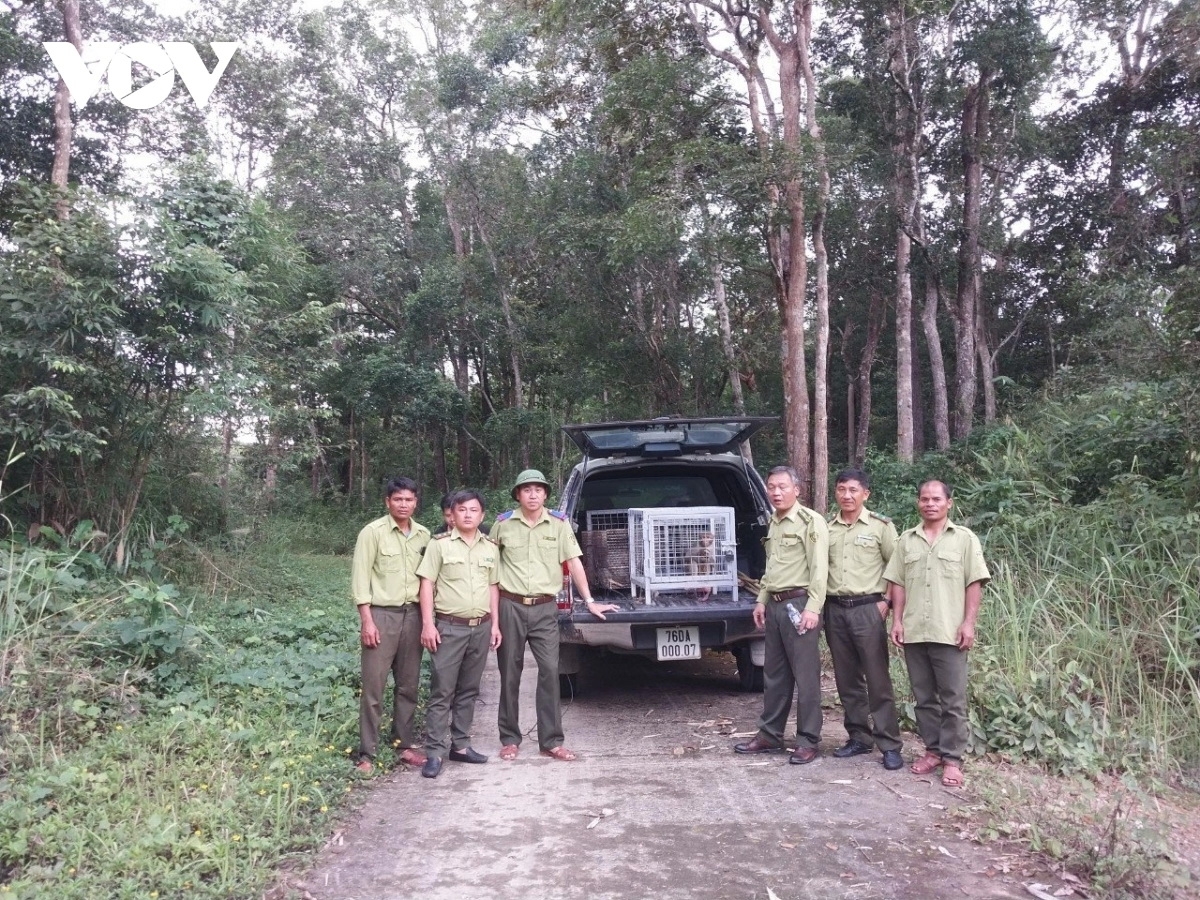 Coh c’moo 2023, Trung tâm trôông dấc, Zư lêy lâng Pa dưr a đhăm achịm, âng Bhươn K’tiếc K’ruung Kon Ka Kinh, tỉnh Gia Lai ơy bơơn trôông dấc 67 râu ađhăh achịm đoọng p’loh ooy crâng k’coong.  (Chanup: Vườn Quốc gia Kon Ka Kinh)