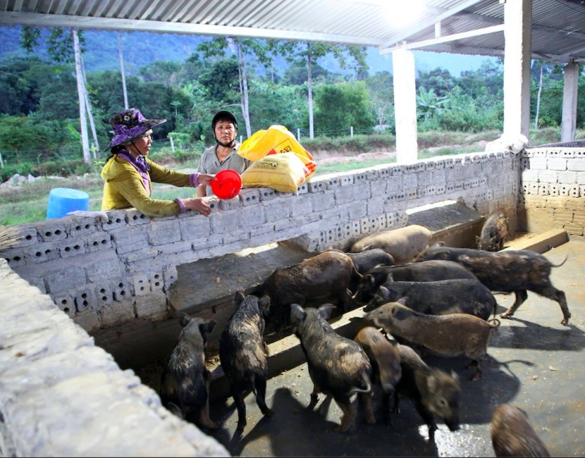 Bâc pr'lọong dha rưt coh zr'lụ da ding ca coong Quảng Nam bơơn zooi đoọng c'lâng bhrợ cha dưr z'lâh đha rưt. 