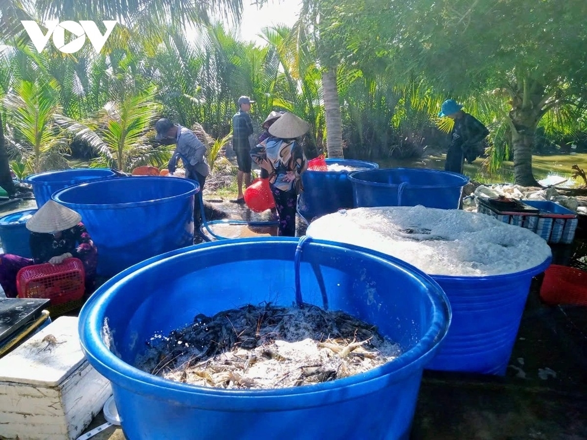 Jalan 'ngak padai pahe – raong hadang hacih'' mboh pala njauk, raong njauk saong pablei hu yaom