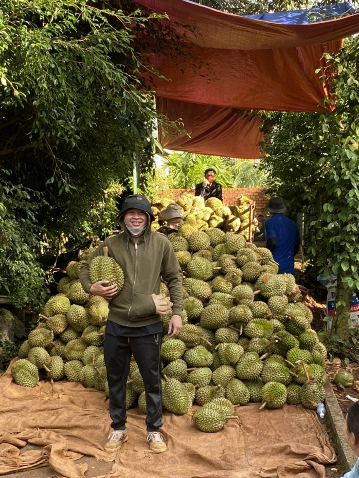 Sầu riêng