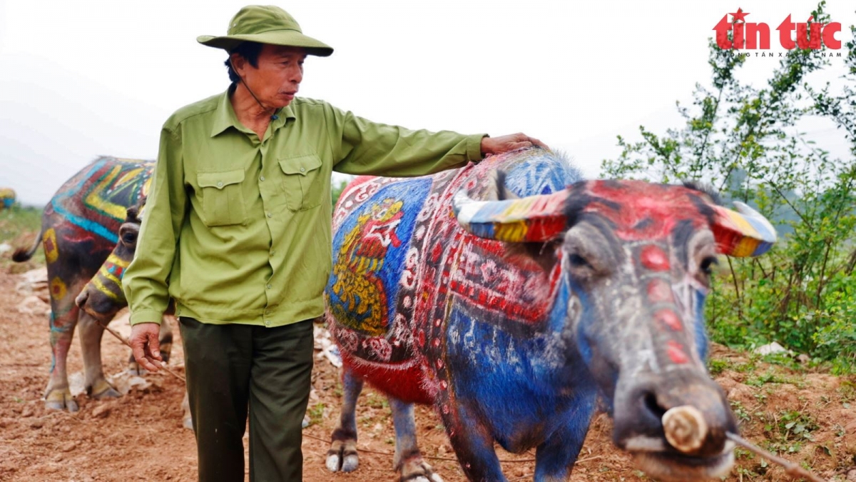 Lão nông Trần Ngọc Dụng (xóm Nội, Tiên Ngoạn, Duy Tiên, Hà Nam) vinh dự có hai trâu giành giải Nhất và giải Nhì tại Hội thi vẽ trang trí trâu Lễ hội Tịch điền Đọi Sơn 2024.