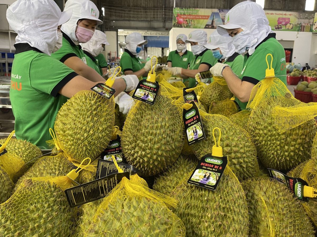 Jalan pablei baoh durian tapa negar langiu hu peih praong