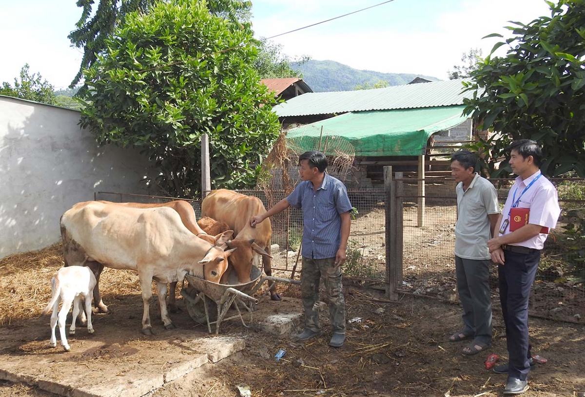 

Rơpŏng kơtiê a tơring Ia H’Drai mơnhông châ tơƀrê kơxô̆ liăn mung mơnhông păn mơnăn mơnôa