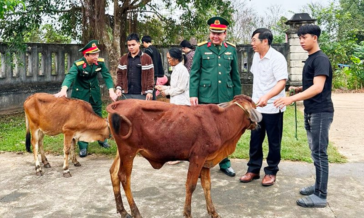 Lãnh đạo Ủy ban MTTQ huyện Bố Trạch và BCH Quân sự huyện trao tặng bò cho các gia đình quân nhân gặp hoàn cảnh khó khăn.