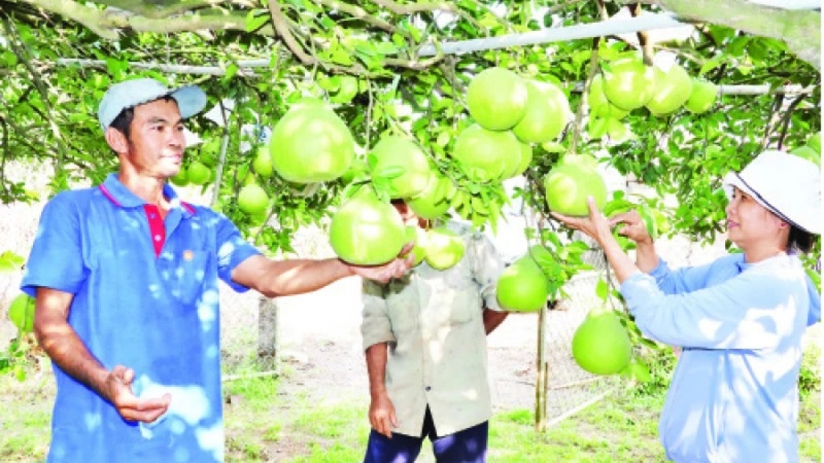 Kruac bung Tân Triều - Đồng Nai