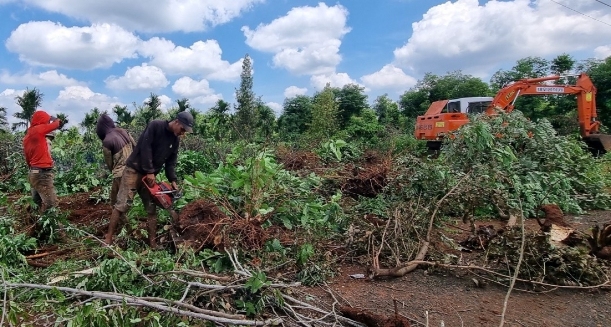 
Apŭng Krông Pach đei 255ha teh kăl iŏk tơvih vă pơm trong gre rĕnh Khánh Hòa - Buôn Ma Thuột.