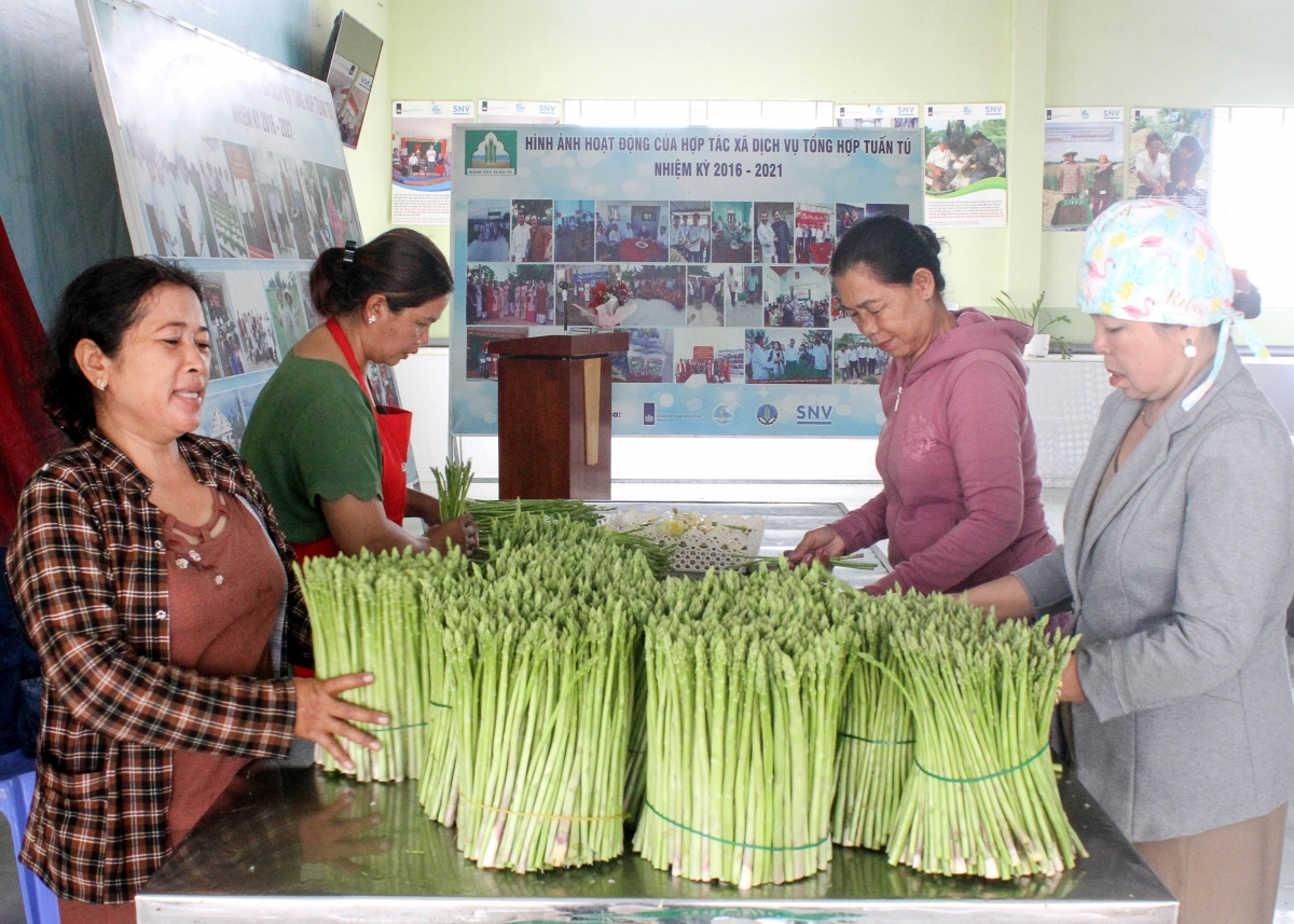 Tabung hijao di HTX Tuấn Tú 